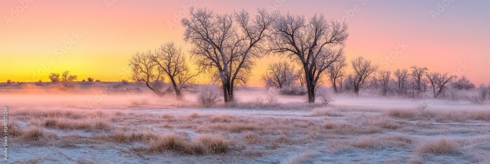 Obraz premium Soft hues of dawn fill the sky as frost clings to bare trees in a tranquil landscape. Mist hangs over the grass, creating an ethereal atmosphere in early morning light