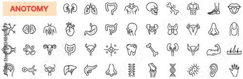 Anatomy Icon Set – Human Organs, Nervous System, Skeletal Structure, Muscles, Circulatory System, Digestive System, Medical Science