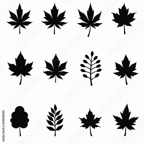 Set of vector illustrations of diverse tree leaves, black silhouettes on a white background. Autumnal foliage icons, nature symbol, arboreal design.