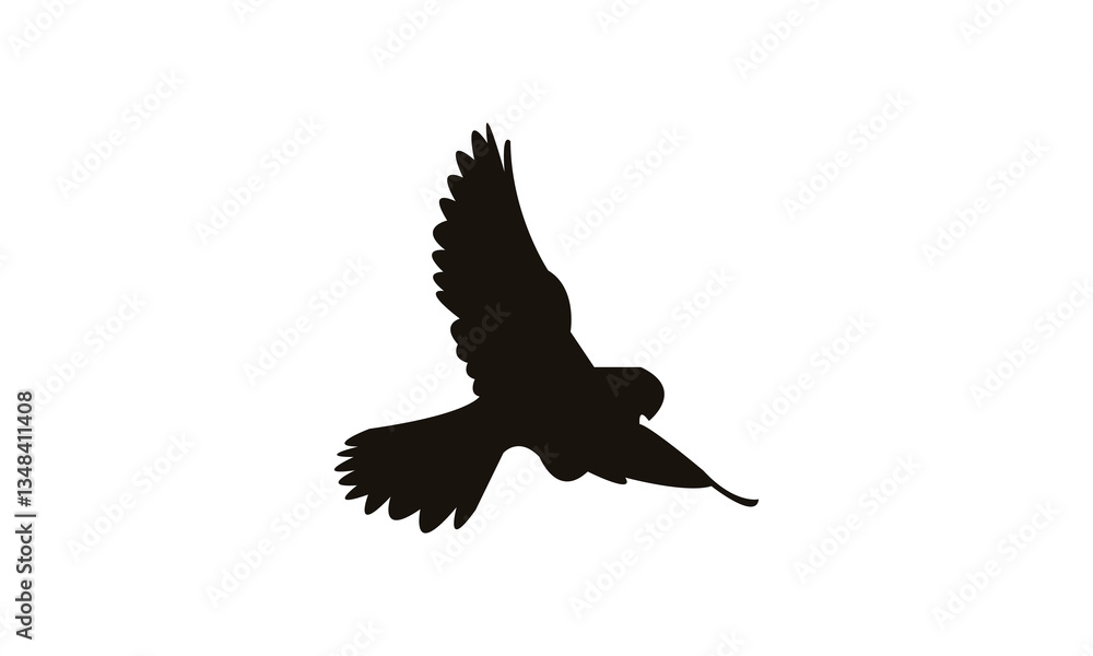 African hobby bird Silhouette Design And Vector Illustration. African hobby bird Silhouette Design And Vector Illustration.