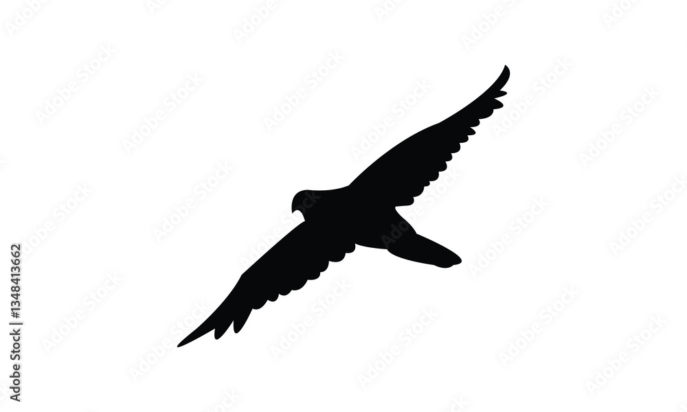 Obraz premium African hobby bird Silhouette Design And Vector Illustration. 