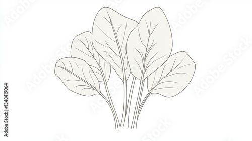 Minimalist line drawing of spinach leaves in white, elegant and modern High quality illustration --chaos 10 --ar 16:9 --style raw --stylize 10 --v 6.1 Job ID: afcf0bd3-c93c-43ef-8f92-b9ebd98e7b1c