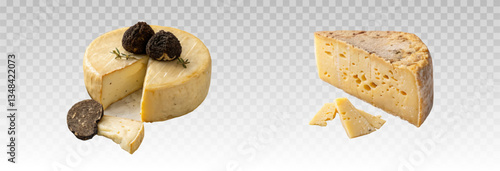 Realistic hard cheeses of different types, blue cheeses, cheeses with truffles. Sliced ​​pieces and slices of cheese appetite effect, vector png.	
