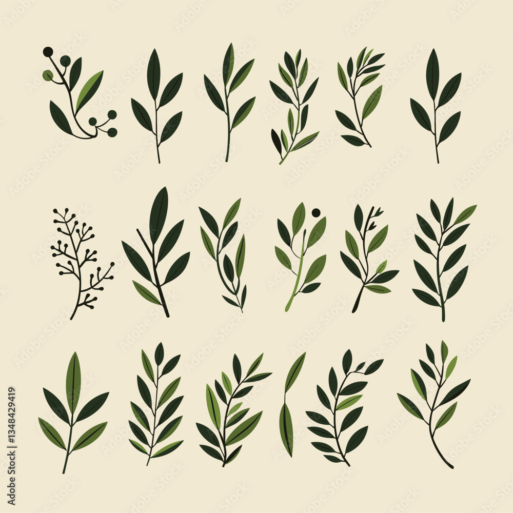Fototapeta premium Assorted botanical foliage of dark and light green sprigs with leaf and berry elements against a cream background.