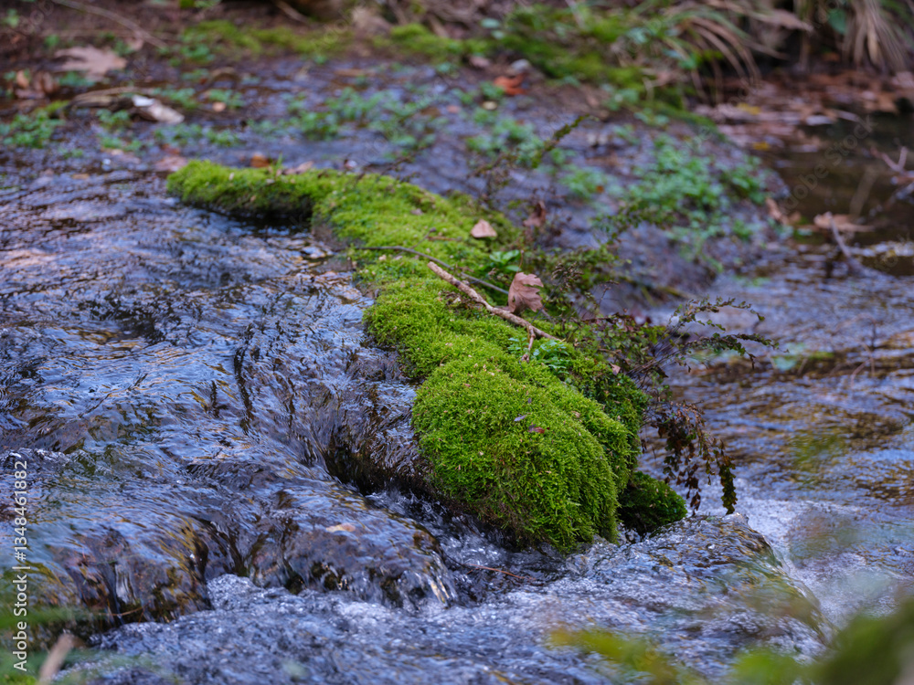 beautiful river in the mountain beautiful river in the mountain