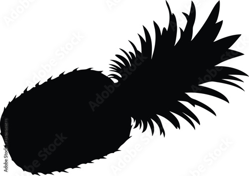 Pineapple silhouette ananas vector illustration,Pineapple vector