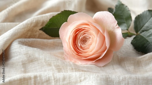 A Peach Rose Rests Gently On Linen Fabric