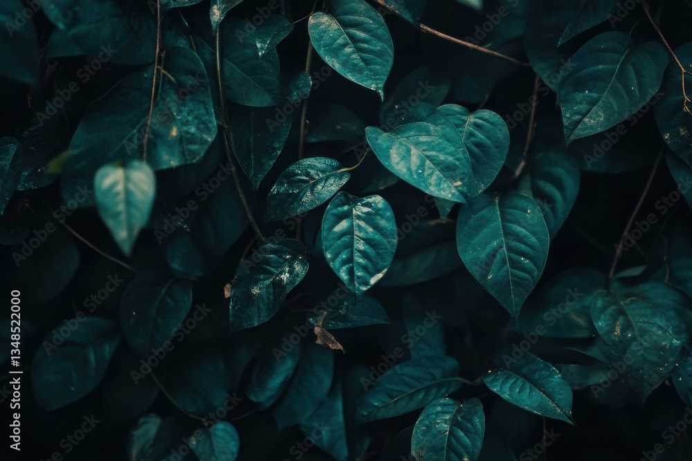 Lush emerald leaves creating a tranquil backdrop in a shaded forest setting at dusk Lush emerald leaves creating a tranquil backdrop in a shaded forest setting at dusk