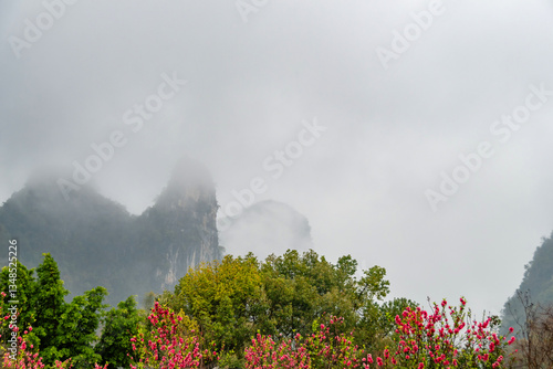Misty Mountains and Blooming Flowers: A Serene Natural Landscape
