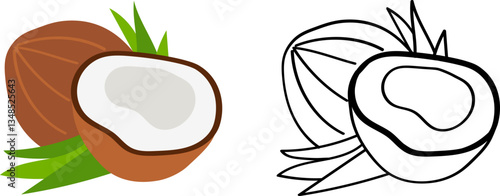 Coconut - hand drawn illustration, flat cartoon vector sketch. Simple kids drawing with black outline, easy coloring.