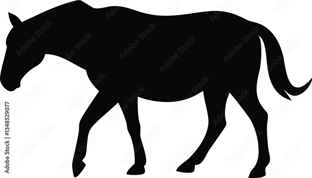 Obraz premium Horse Silhouette Isolated, Equine Animal Walking, Mammal Stallion Black Shape, Equestrian