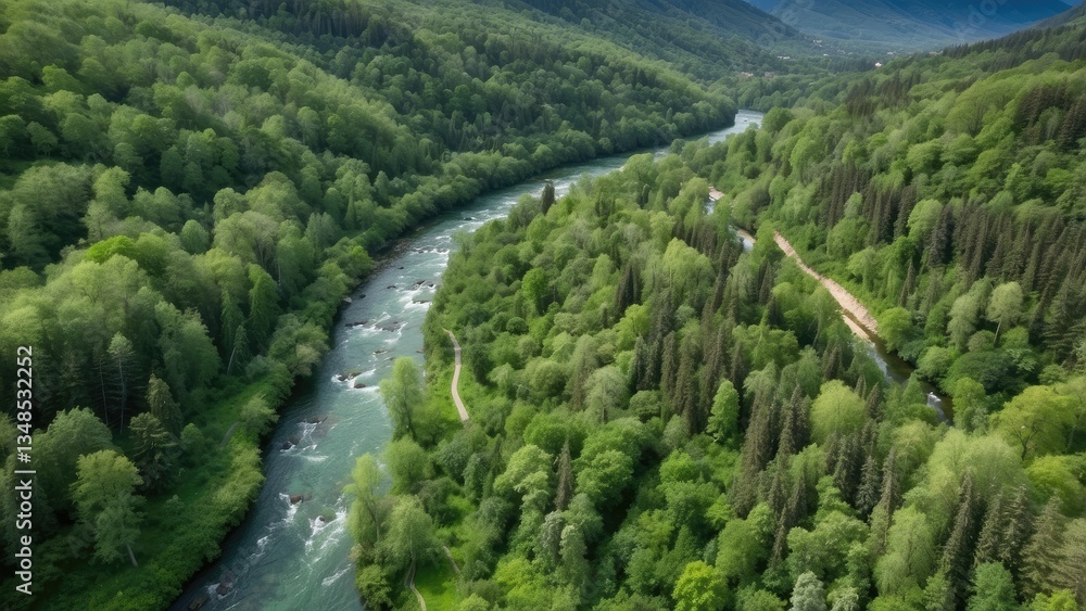 Aerial view of a lush green forest with a winding river cutting through it. Aerial view of a lush green forest with a winding river cutting through it.