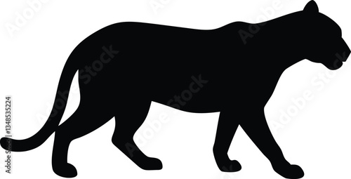 Silhouette of a Black Panther Walking, Isolated on White, Wild Cat, Predator, Feline
