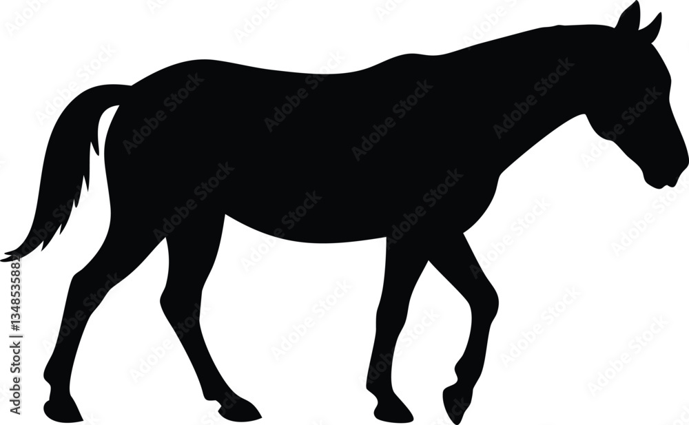 Silhouette of a Horse Walking, Graceful Animal Movement on a White Background Silhouette of a Horse Walking, Graceful Animal Movement on a White Background