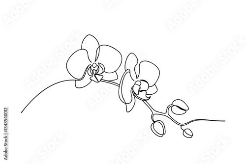 Elegant SingleLine Orchid Drawing Botanical Art, Floral Design