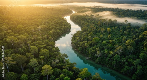 Serene river meandering through dense rainforest