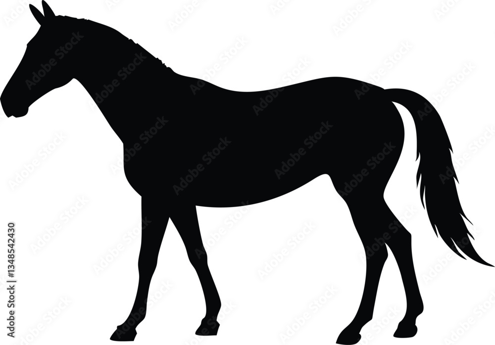 Obraz premium Standing Horse Silhouette Elegant Equine Shape, Black Animal Outline on White Backdrop