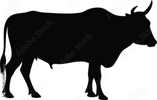 Zebu Bull Silhouette, Detailed Bos Indicus Cattle Shape, Black and White Isolated