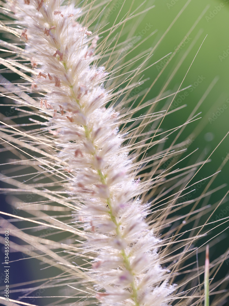 Obraz premium Green leaves with dappled sunlight. Dreamy effect. Abstract background. Beauty in nature.
