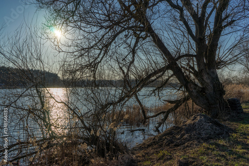 Obraz na płótnie Wiosna nad Stawami Dojlidzkimi, Podlasie, Polska w salonie
