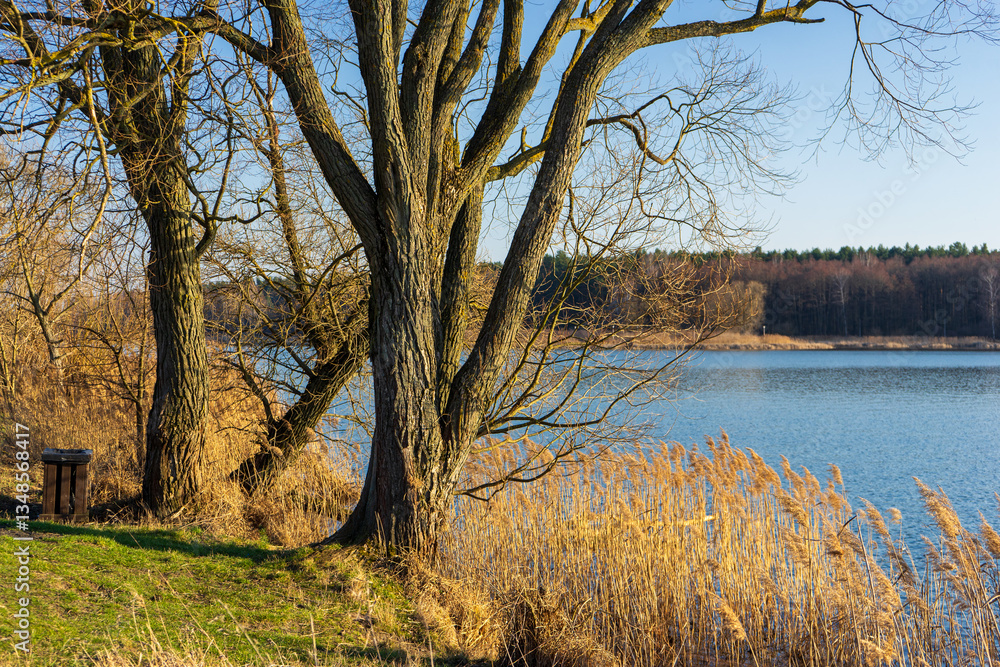 Wiosna nad Stawami Dojlidzkimi, Podlasie, Polska