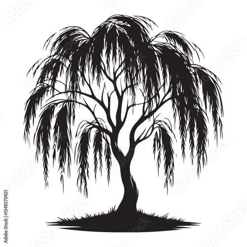 Weeping Willow Tree Silhouette Illustration Nature Mourning Symbol