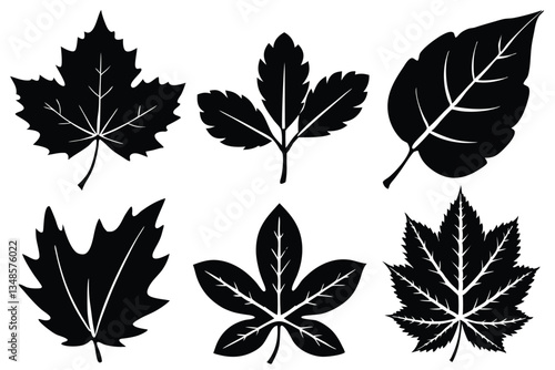 Summer Leaves Icon Set – Vector Line Art of Maple, Oak, Birch, Elm & More