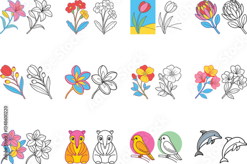 Collection of Colorful Flowers Birds and Animals Line Art Drawings Illustrations