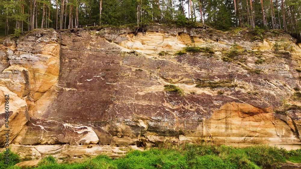 Devonian Limestone Rock Cliff Preserved For Over Millions Of Years In Gauja National Park. Erglu Klintis Is A National Treasure And Popular Tourist Attraction In Latvia.
