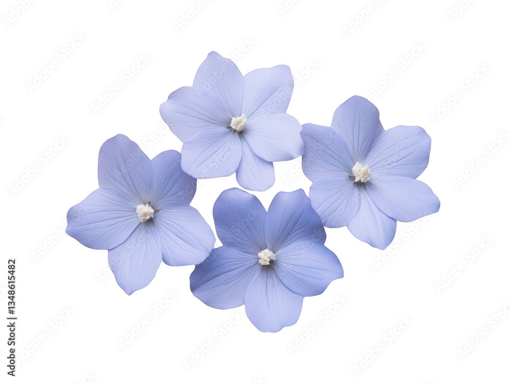 Four blue flowers are arranged in a row. The flowers are small and delicate, with a light blue hue. The arrangement is simple and elegant, with the flowers placed close together Four blue flowers are arranged in a row. The flowers are small and delicate, with a light blue hue. The arrangement is simple and elegant, with the flowers placed close together