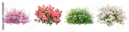 Blooming Shrubs in Springtime