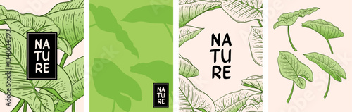 Nature poster set with taro leaf vector illustration