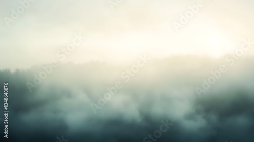misty morning in the forest