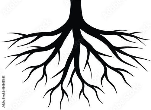 Tree roots silhouette vector,roots vector