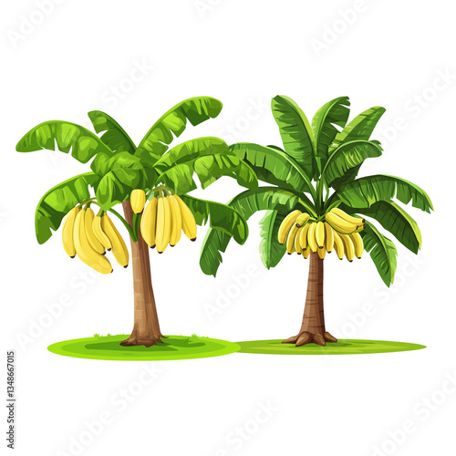 Cartoon banana tree with yellow bananas on white background