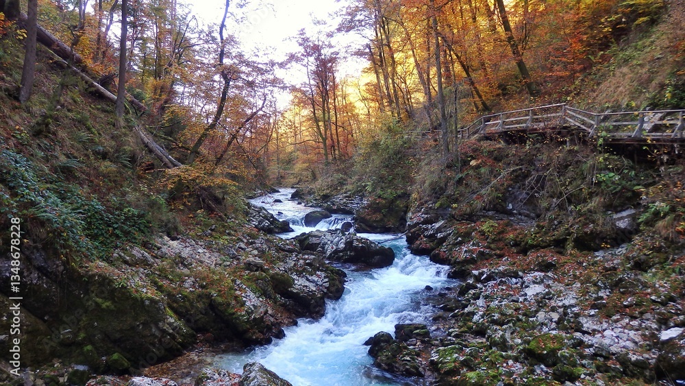 Radovna river stream that carve the Vintgar gorge canyon in Blejska Dobrava, Triglav national park, Slovenia, Europe Radovna river stream that carve the Vintgar gorge canyon in Blejska Dobrava, Triglav national park, Slovenia, Europe