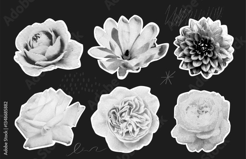 Black and white floral collage with halftone print effect. Gothic grunge dark flower cutouts for scrapbooking, decoration, and prints