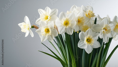 white narcissus in the vase