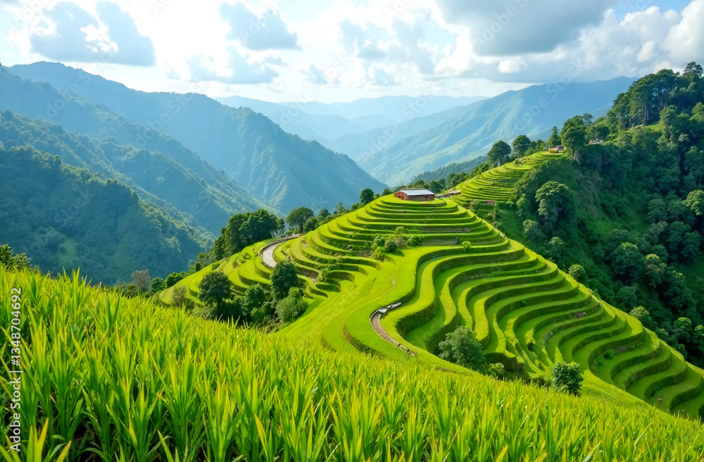 Fototapeta premium Scenic rice field terraces on mountain hills, lush green Asian landscape.Beautiful terraced rice fields on mountain slopes, tropical rural scenery