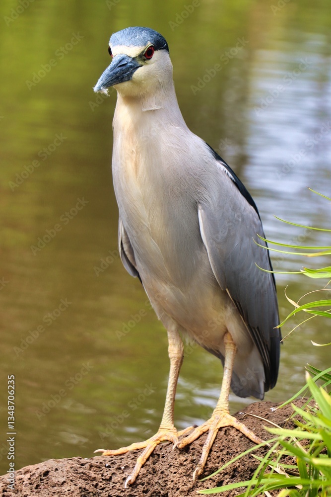 Fototapeta premium Maui, Hawai'i, USA