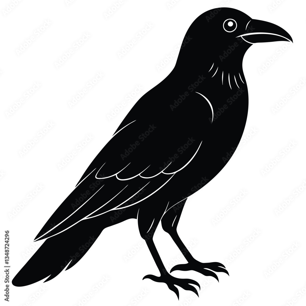 Vector, isolated black silhouette bird, crow collection, crow silhouettes, Raven bird logo vector template, Black silhouette of a crow on an isolated background,crow isolated on white, crow vector. Vector, isolated black silhouette bird, crow collection, crow silhouettes, Raven bird logo vector template, Black silhouette of a crow on an isolated background,crow isolated on white, crow vector.