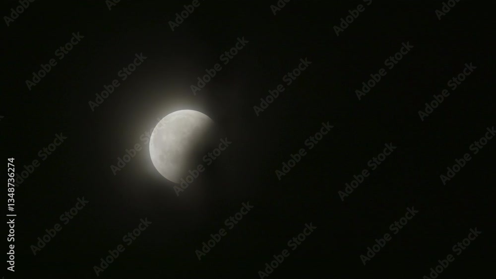 Timelapse of the Total Lunar Eclipse on March 14th, 2025 as the Earth's shadow decreases, passing through tree branches