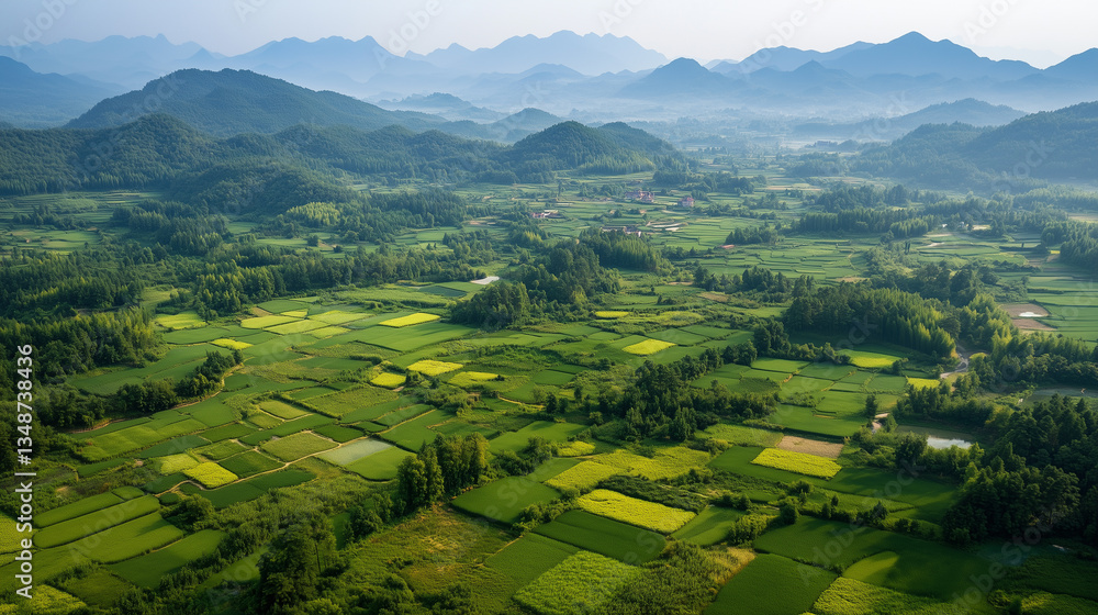 Fototapeta premium Thanks to reforestation efforts and forestry workers’ hard work, forest coverage has significantly increased, with challenges now focusing on balancing quantity and quality in afforestation.