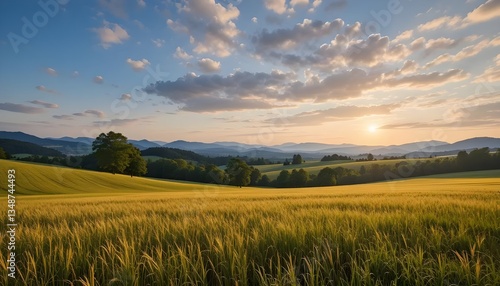 Picturesque Landscape of Lush Fields Stretching Across Bavaria and Baden-Württemberg, Germany