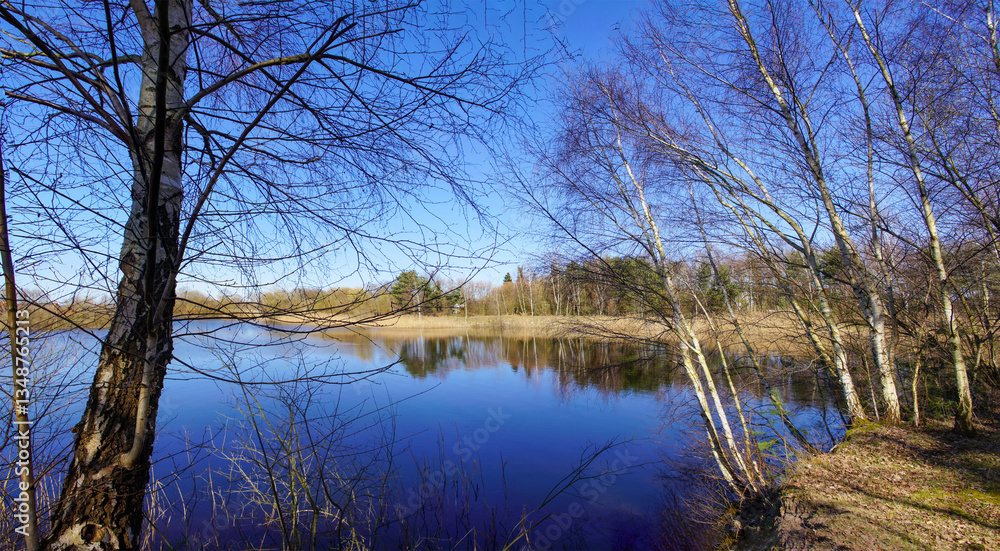 Frühling am See Frühling am See