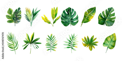 Watercolor vector illustration of tropical leaves collection, isolated on a white background