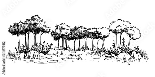 trees in park forest grove black and white outline, transparent background line art drawing illustration