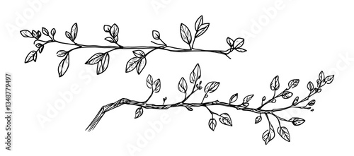decorative tree branches with leaves vector sketch illustration in ink doodle style hand drawing for engraving