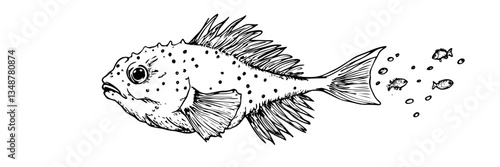 exotic fish ocean marine wildlife vector sketch doodle engraving