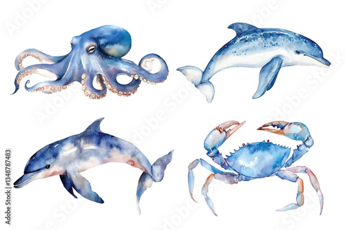 octopus, dolphin and crab watercolor vector illustration, underwater ocean animal art isolated on white background